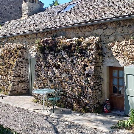 Le Passe Compose Villa Millau Bagian luar foto