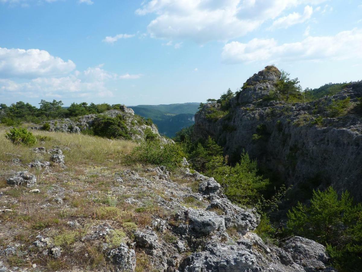 Le Passe Compose Villa Millau Bagian luar foto